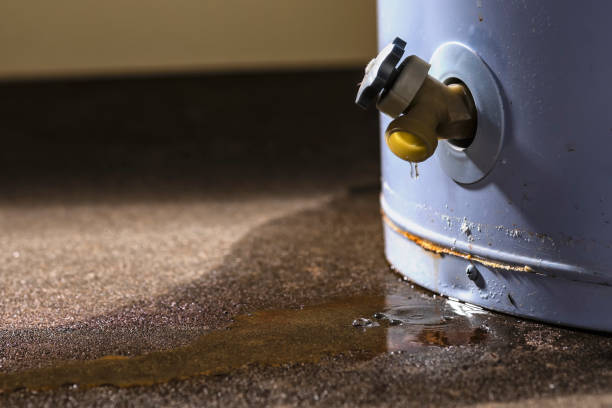  Sonoma State University, CA Water damage restoration Pros