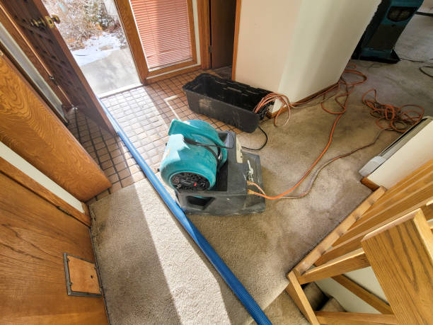 Best 24/7 water damage repair  in Sonoma State University, CA