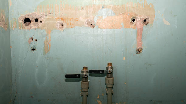 Best Flooded house restoration  in Sonoma State University, CA
